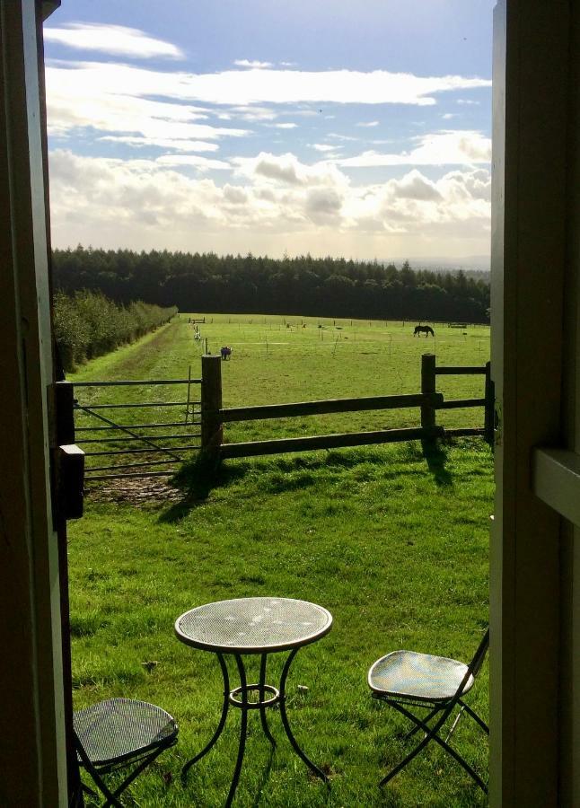 Hotel Shepherd'S Hut Blandford Forum Exterior foto