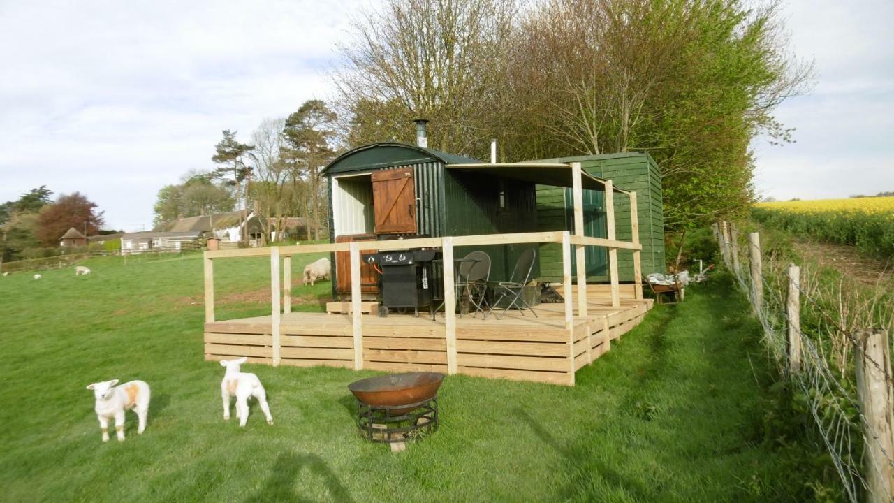 Hotel Shepherd'S Hut Blandford Forum Exterior foto